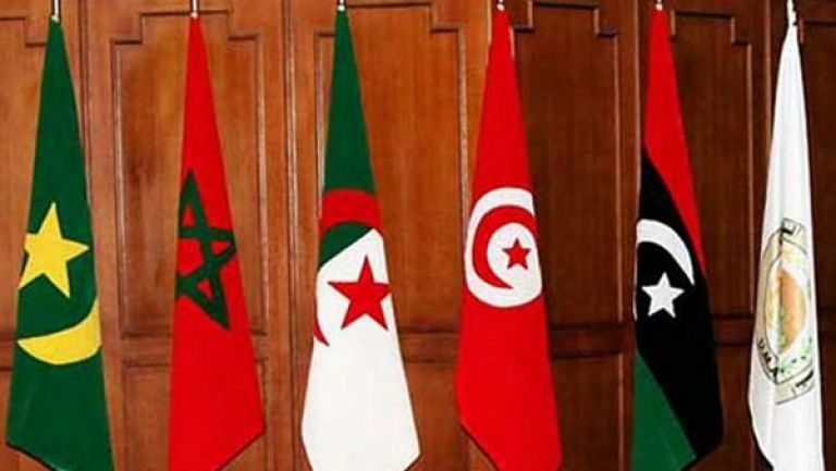 مجلس الشورى للاتحاد المغاربي يدين بشدة التدخل السافر للبرلمان الاوروبي ضد الجزائر
