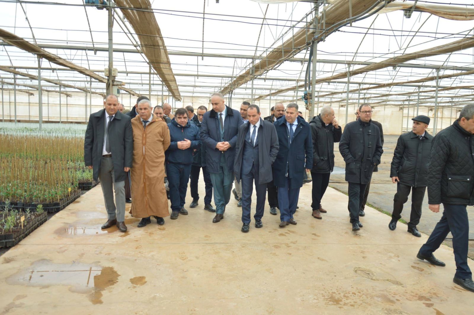 البعثة الاستعلامية المؤقتة عن لجنة الفلاحة والتنمية الريفية بمجلس الأمة تباشر مهمتها الرقابية بولاية سيدي بلعباس